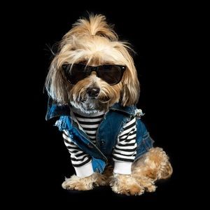 Meet your Posher, Melinda